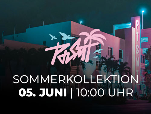 Videogame Vacation - Urlaub, wie er sein sollte!