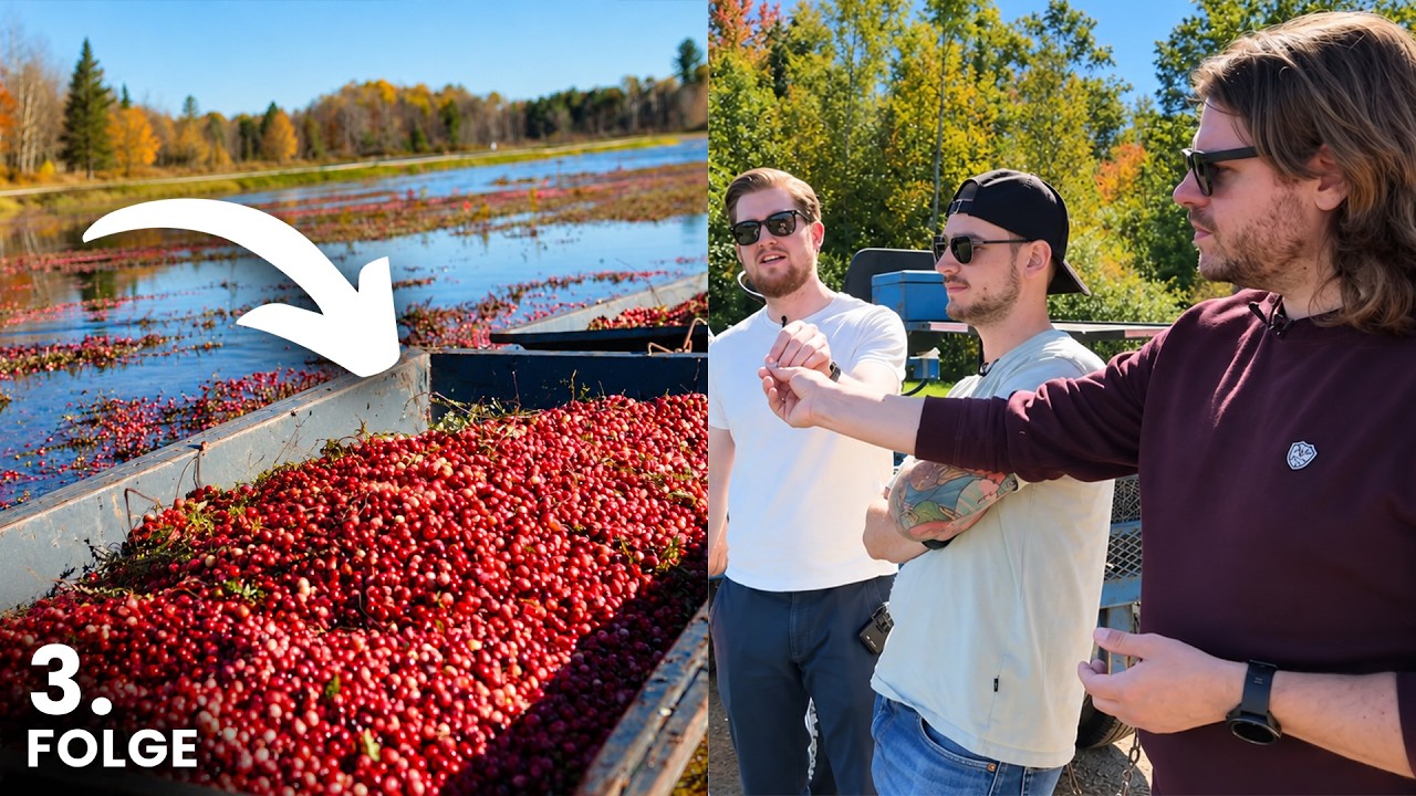 Wir sind auf einer Cranberry Farm!